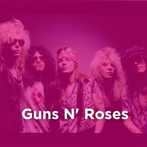 Artist: GUNS N ROSES