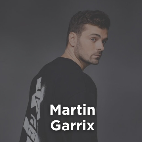 Artist: MARTIN GARRIX