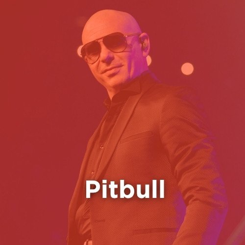 Artist: PITBULL